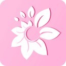 AE老司机福利版