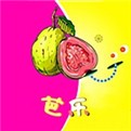 雪梨直播app免费版