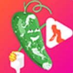 圈遇交友app手机版